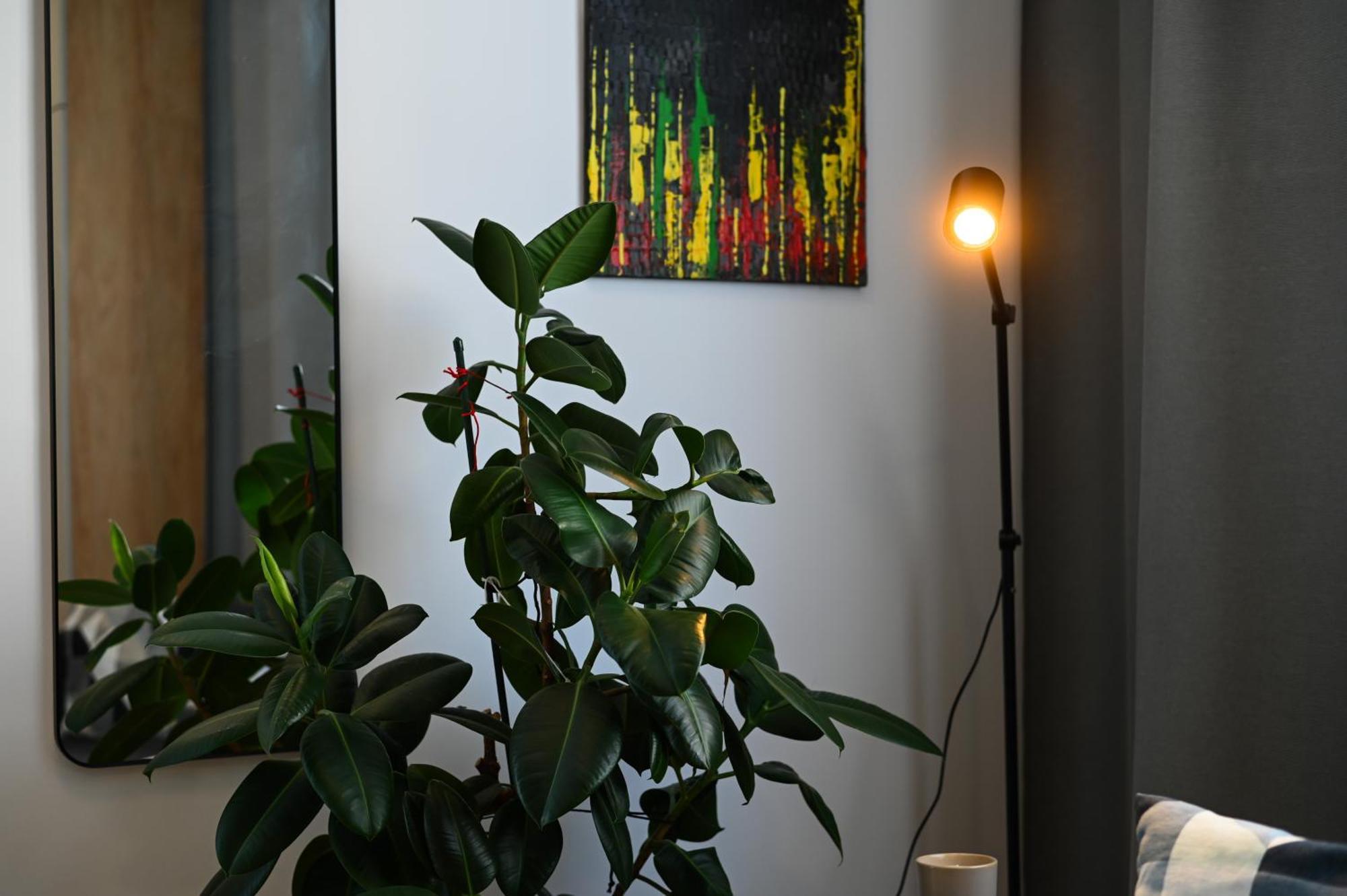 City Center Studio - Comfy & Modern Bratislava Extérieur photo